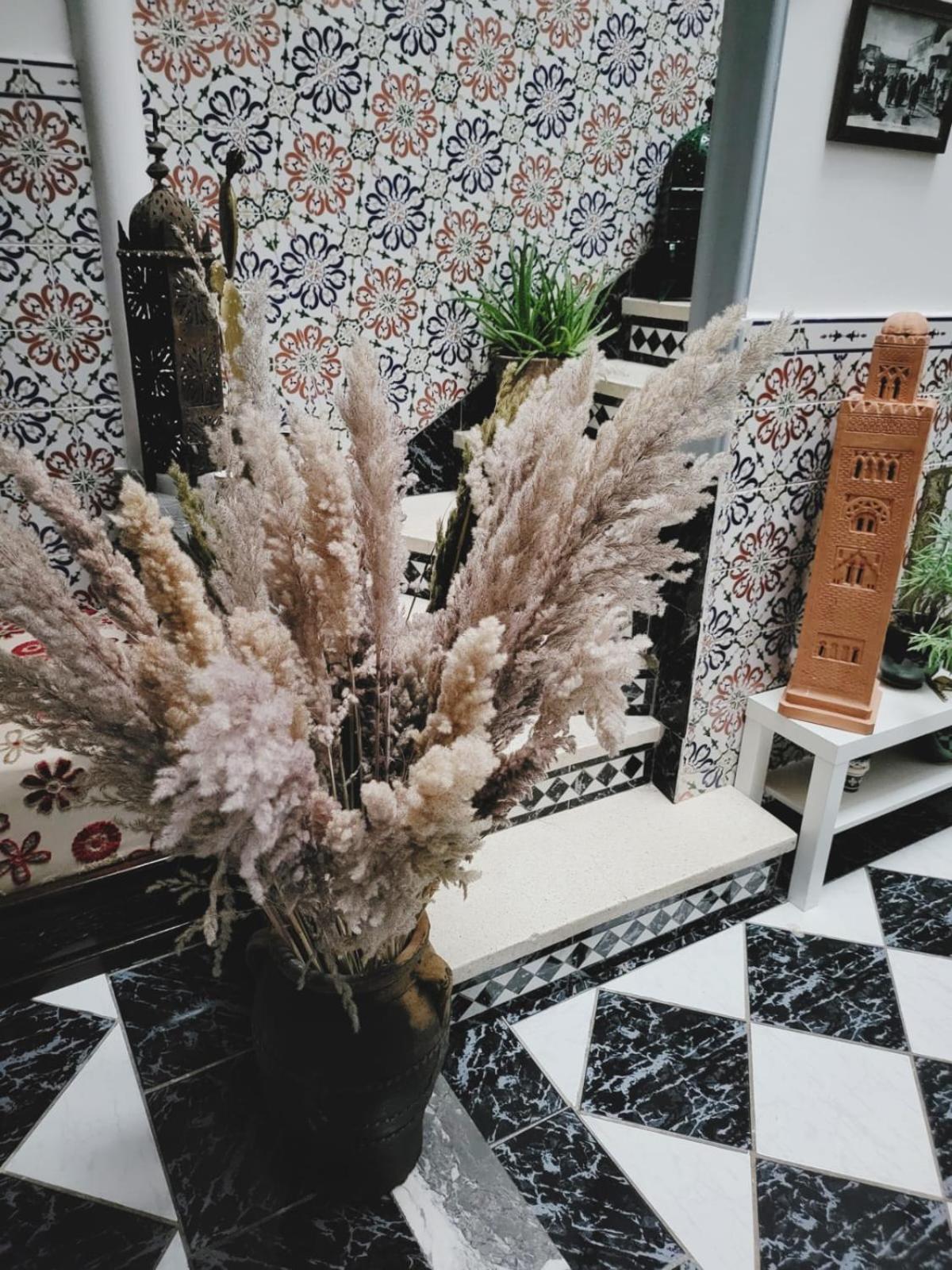 Riad Traditionnel De Charme 3 Chambres مراكش المظهر الخارجي الصورة